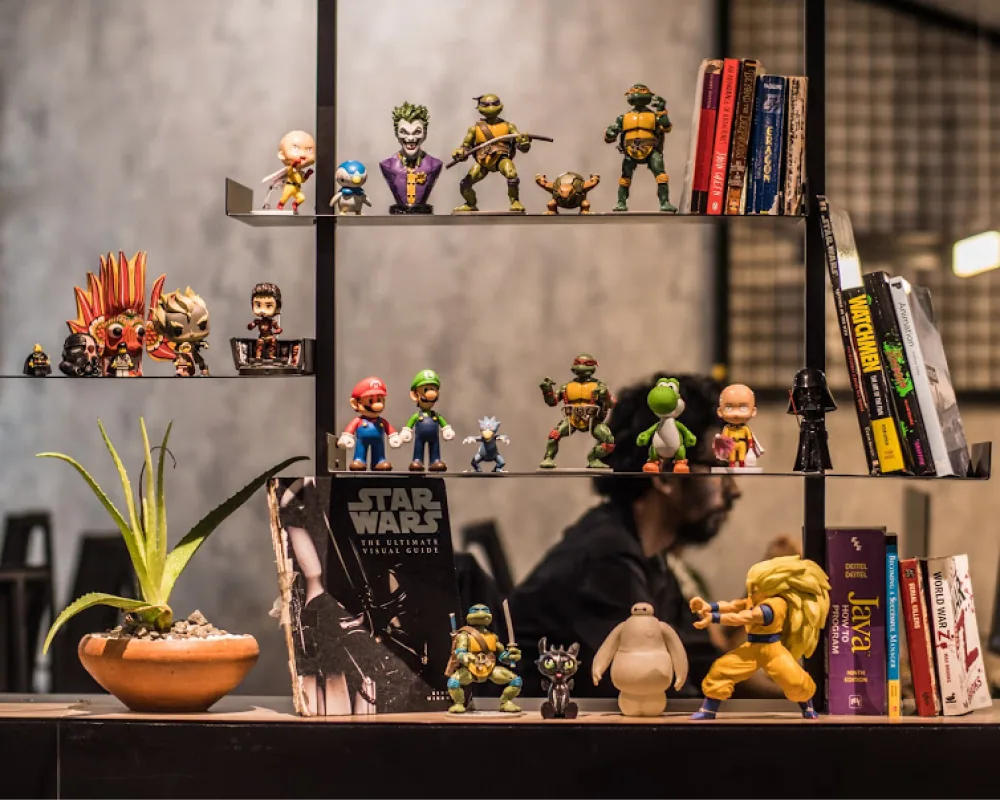 Collectible characters and plants on the studio shelves